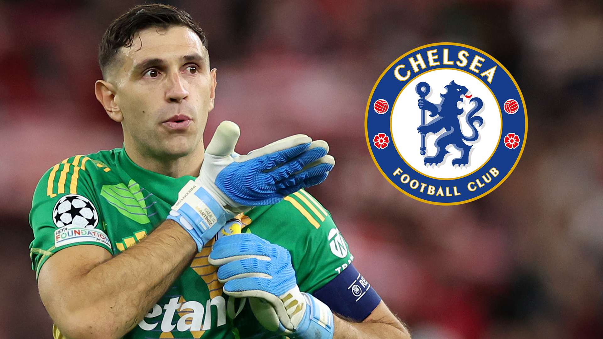 不仅展示了 不仅展示了