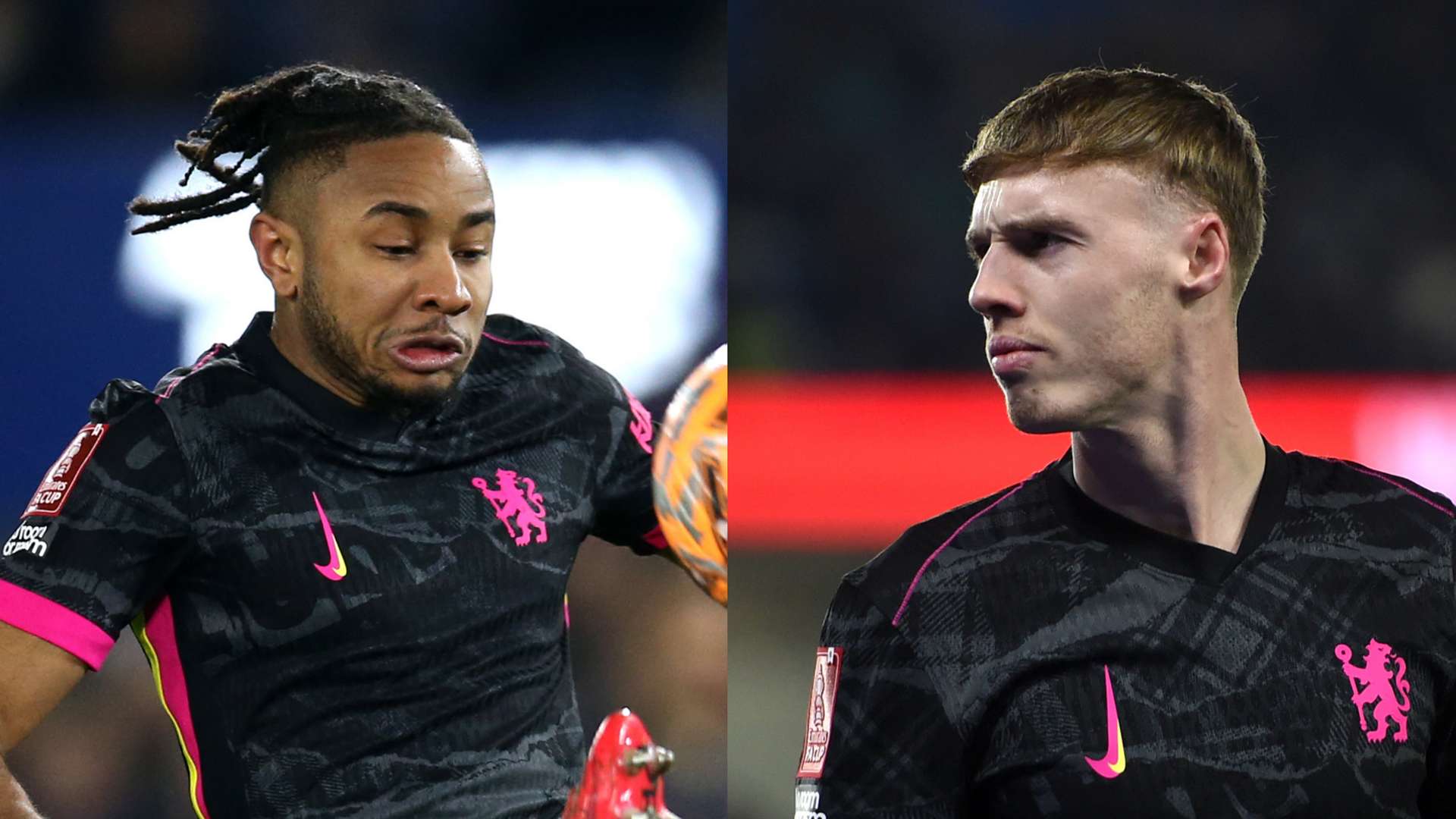 分析他们在 分析他们在